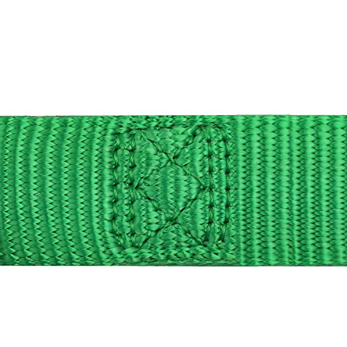 Short Dog Leash 18" (Lime Green / 18 Inches)