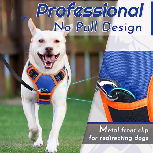 Dog Harness for Large Dogs (Large / Blue & Orange)