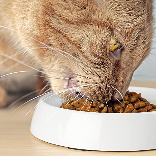Cat Bowls Original Whisker (Dish / Marshmallow)