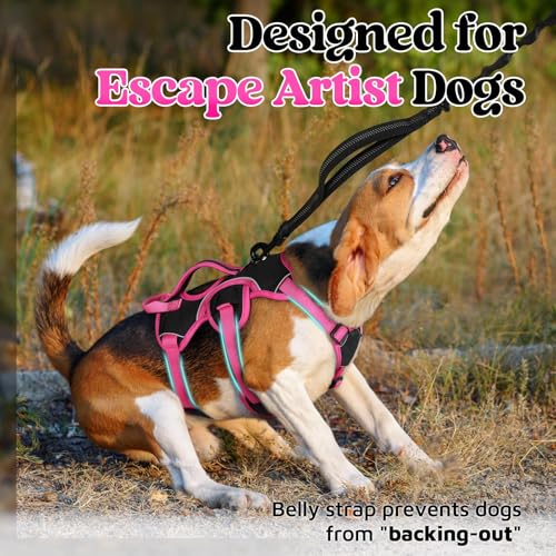 Escape Proof Dog Harness for Small (Rose & Black / Small)