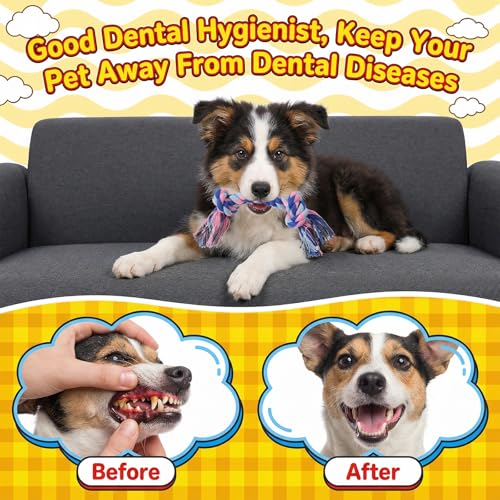 60 Pcs Dog Toys Bulk Chew Ropes Dental Cotton Teething 2 Knot Tug of War Toy for Small and Medium Dogs Puppies
