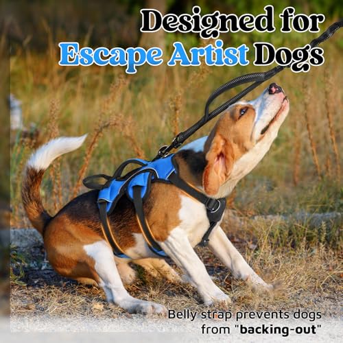 Escape Proof Dog Harness for Small (Blue / Small)