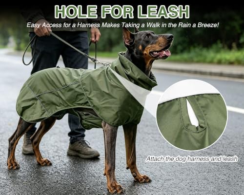 Dog Raincoat with Hood (Green (Mesh Lining) / XL)
