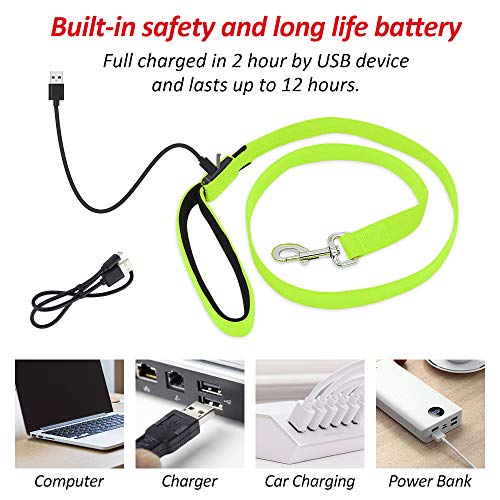 LED Dog Leash (GreenⅠ)