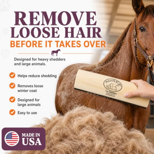 10 Inch Horse Brush (Horse Brush)