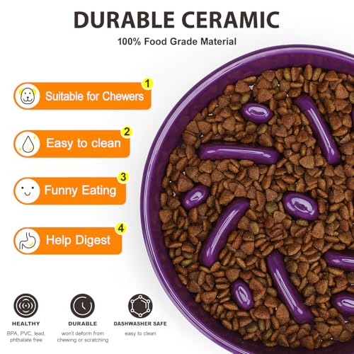 Ceramic Slow Feeder Dog Bowl (Maze - Deep purple / 2 Cups)