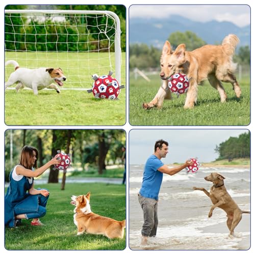 Dog Balls 6 Inch Balls for Dogs with Straps (6 Inch / Red)