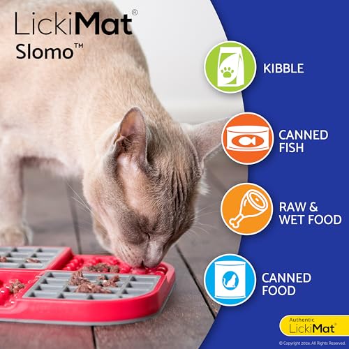Slomo Cat Slow Feeder Lick Mat (Green)
