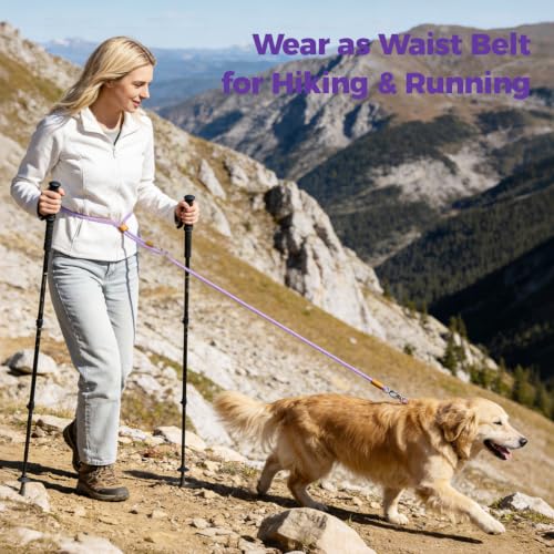 Hands Free Double Dog Leash 2 (Purple)