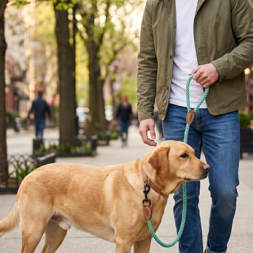 Dog Leash Braided Cotton Rope with Leather (Green / 72 Inch-1/2")