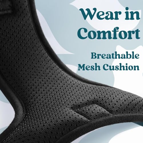Dog Harness for Large (X-large / Blue Coral)