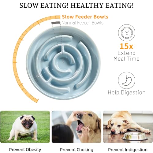 Ceramic Slow Feeder Dog Bowl (Blue)
