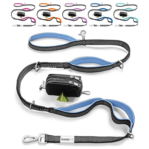 Heavy Duty Dog Leash for Large Dogs (Purple - Blue)