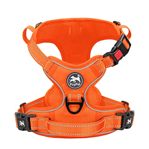 No Pull Dog Harness (S / Orange(Matching Trim))