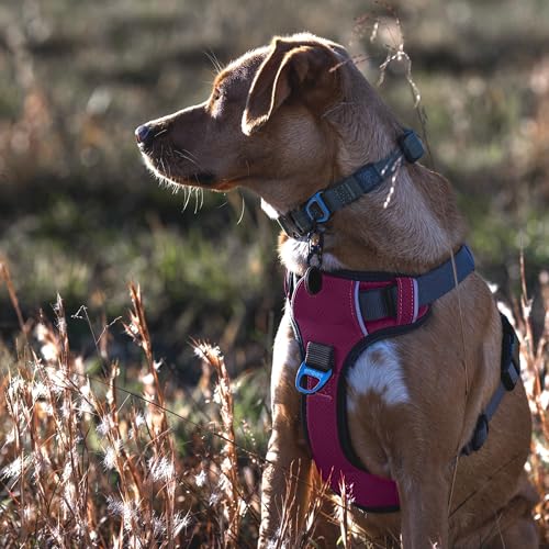 Embark No Pull Dog Harness (L / Pink)