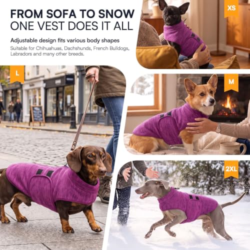 Small Dog Sweater (Cationic Berry / X-Small)