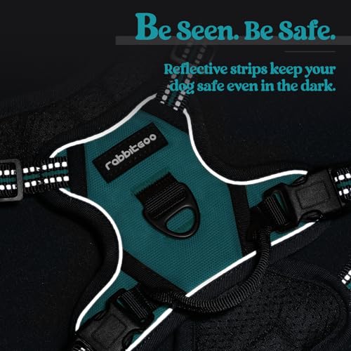 Dog Harness No Pull with 2 Leash Clips (X-Small / Teal)