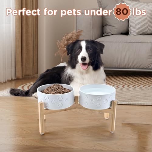 Elevated Dog Bowls Ceramic (7.3 in - 5.3 cups / Paw White)