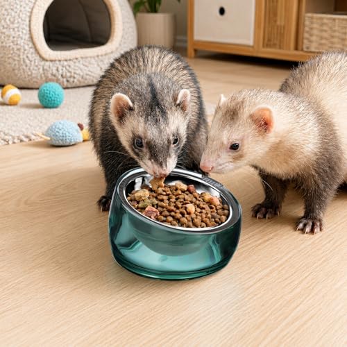 Oblik 15° Tilted Small Animal Bowls for Pet Food & Water 6 oz Stainless Steel Dish Removable (Classic / Mini Pet)