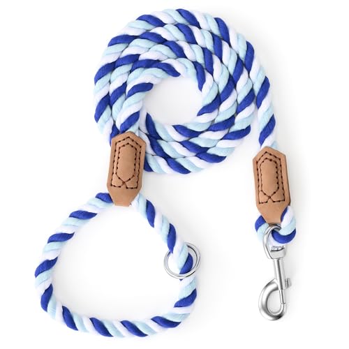 Rainbow Dog Leash Braided Cotton Rope w Leather (Blue Gradient / 48 Inch-1/2")