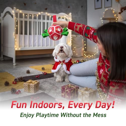 Small Christmas Dog Toys (Christmas 1 / 5 Inch)