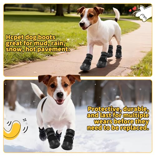 Dog Shoes for Small Dogs (Black / #2 (Width 1.29 inch) for 6.6-11.0 lbs)