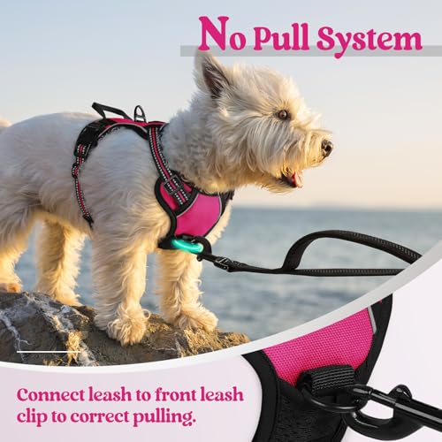 Dog Harness No Pull with 2 Leash Clips (X-Small / Hot Pink)