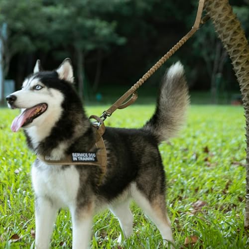 Tactical Military Bungee Nylon Dog Leash Adjustable (Grey)
