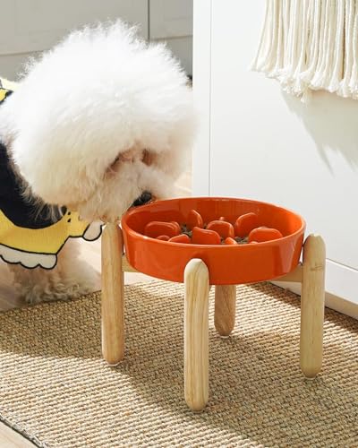 Ceramic Slow Feed Dog Bowls (Sun Orange+Stand / S-0.6 Cups)