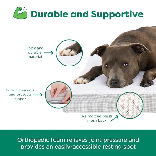 Orthopedic Dog Bed (Medium / Light Gray)