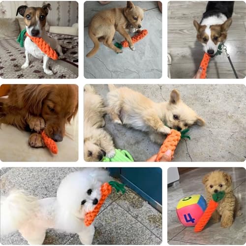 3 PCS Carrot Dog Rope Toys for Dogs (3-Pack)