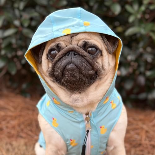 Lucky Ducky Reversible Raincoat for Dogs & Pets (Large)
