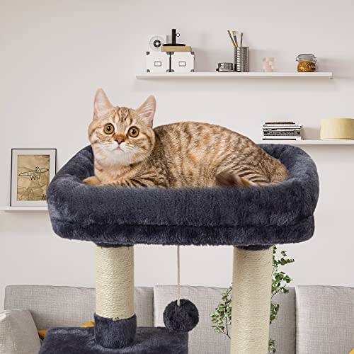 Cute Cat Tree Kitten Cat Tower Condo Cat Furniture Sisal Scratching Posts D (Smokygrey)