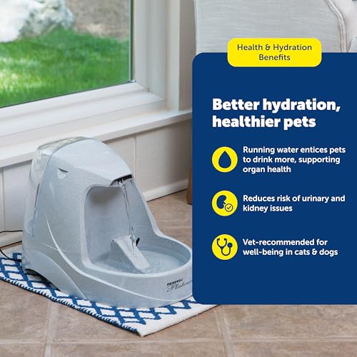 PetSafe Drinkwell Platinum Cat Water Fountain