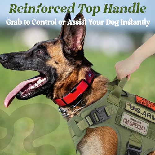 Tactical Dog Harness X (Green / X-Large)