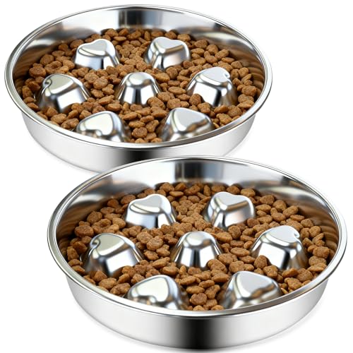 2 Pack Stainless Steel Slow Feeder Dog Bowls