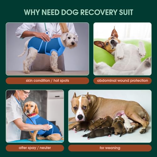 Dog Recovery Suit (Blue / Large)