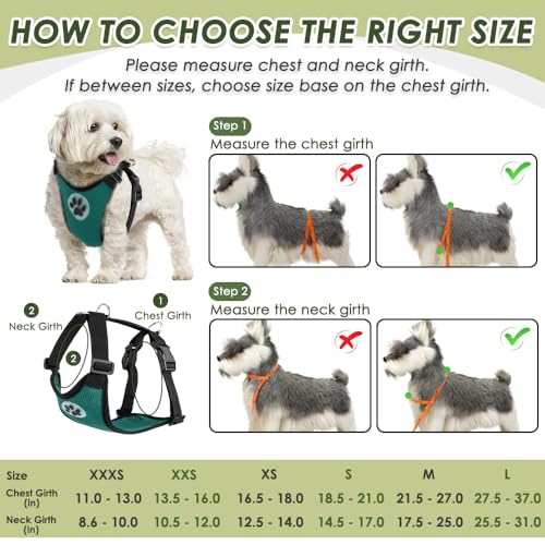 Dog Seat Belt and Harness for Car (Green / XX-Small)