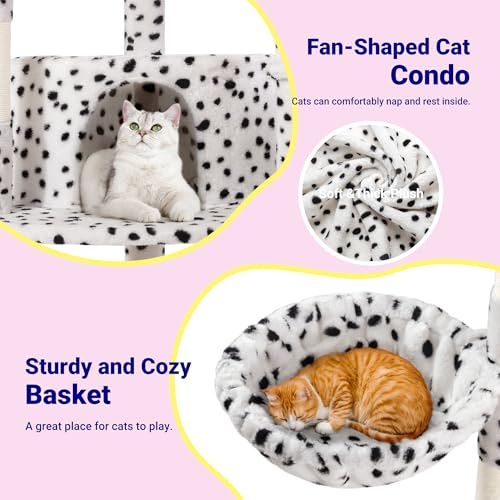 73in Fan Shaped Space (White & Black Spot)