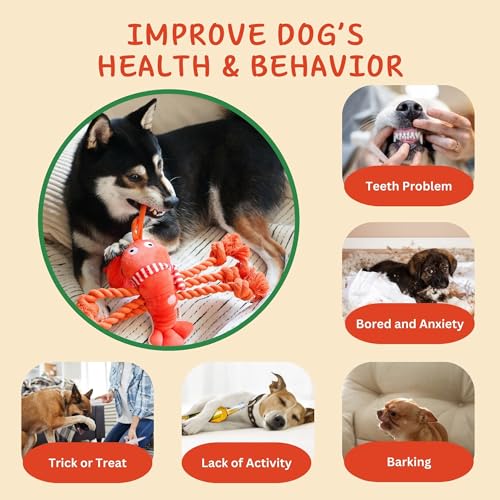 Squeaky Dog Toys (Scarf Lobster)