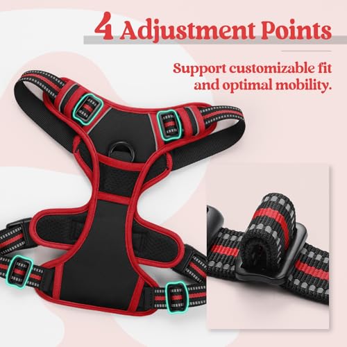 Dog Harness No Pull Medium Sized with 2 Leash Clips (Medium / Black & Red)