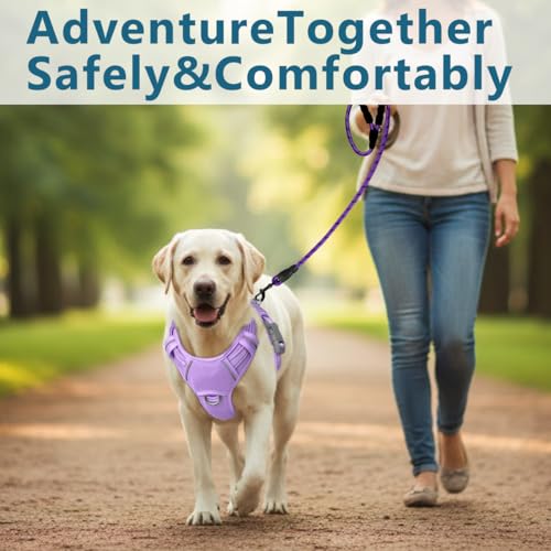 Dog Harness No Pull with ID Tag Pocket (Large(Chest:24.5-32.5") / Violet Purple)