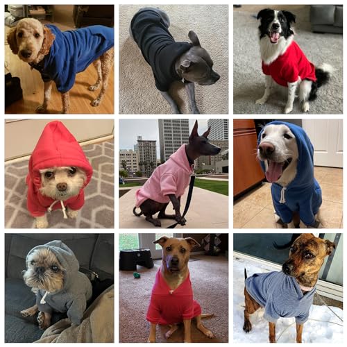 Dog Hoodie for Large Medium Small Dogs (Blue / Small)