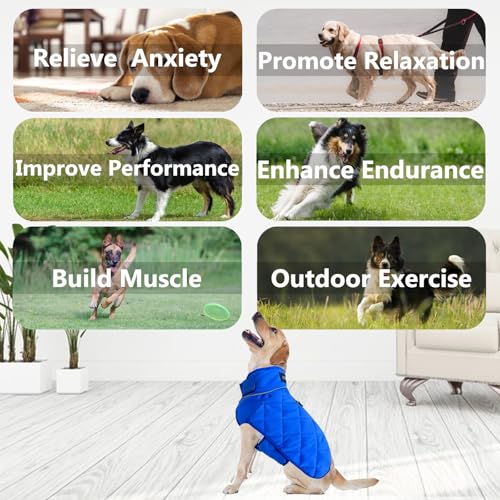 Weighted Dog Vest (Blue / Medium)