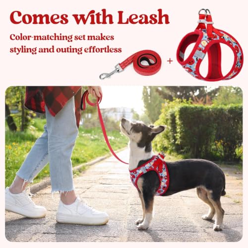 Dog Harness Small Sized and Leash Set (Apple Pups / Xs (chest: 13.3 - 15.5"))