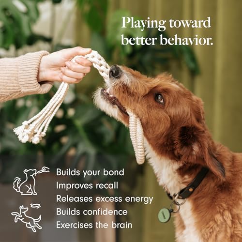 Natural Cotton Dog Rope Toy for Small & Medium Dogs (16 Inch)