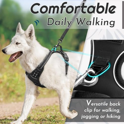 Dog Harness for Medium Sized Dogs (Medium / Black)