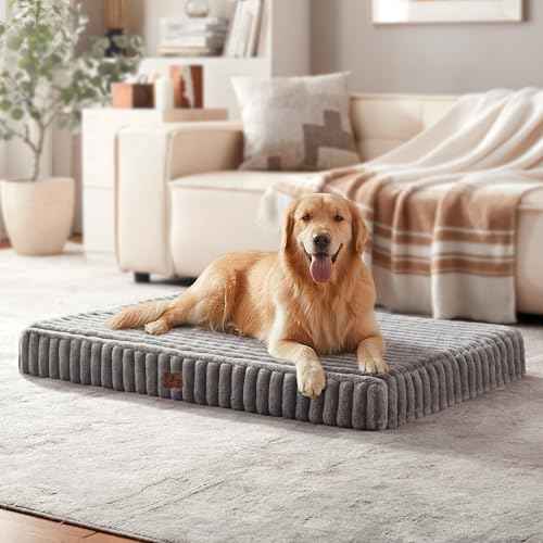 Orthopedic Large Dog Bed (Grey / L(35x22x3"))