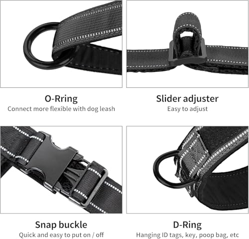No Pull Dog Harness with Padded Handle+5 Ft Leash (XL / Black Set)