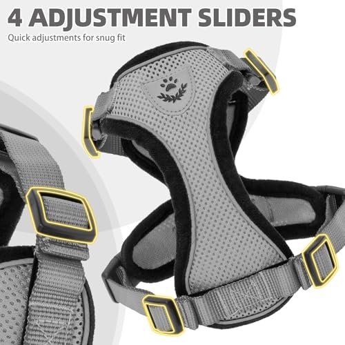 Cat Harness and Leash Set Escape Proof Reflective Cat Walking Harness Adjustable Soft Breathable Mesh Vest for Small Pets (M (NECK 11"-13.7", CHEST 16"-20") / Grey)